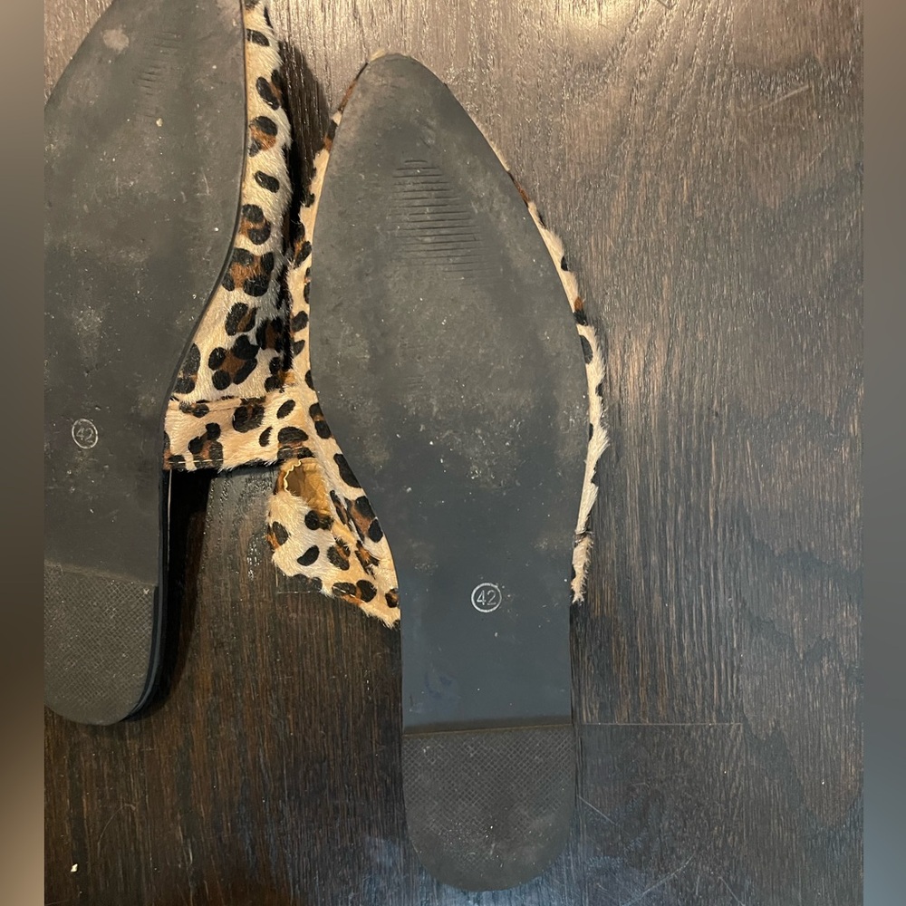 Leopard Flats - Picture 11 of 15